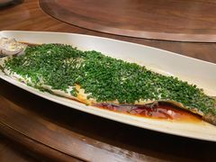 白水鱼-临江宴(陆家嘴店)