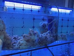 -日照大牌檔•小船海鲜(万平口店)