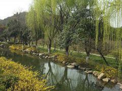 -白马涧龙池景区