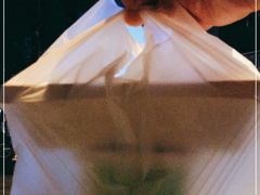 -文昌邓记清补凉(西沙路店)