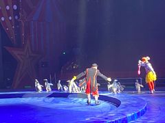 -珠海横琴长隆《卡卡虎奇遇记》