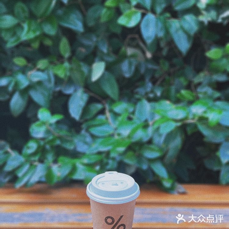 魔都打卡|梧桐院落里的咖啡店%Arabica