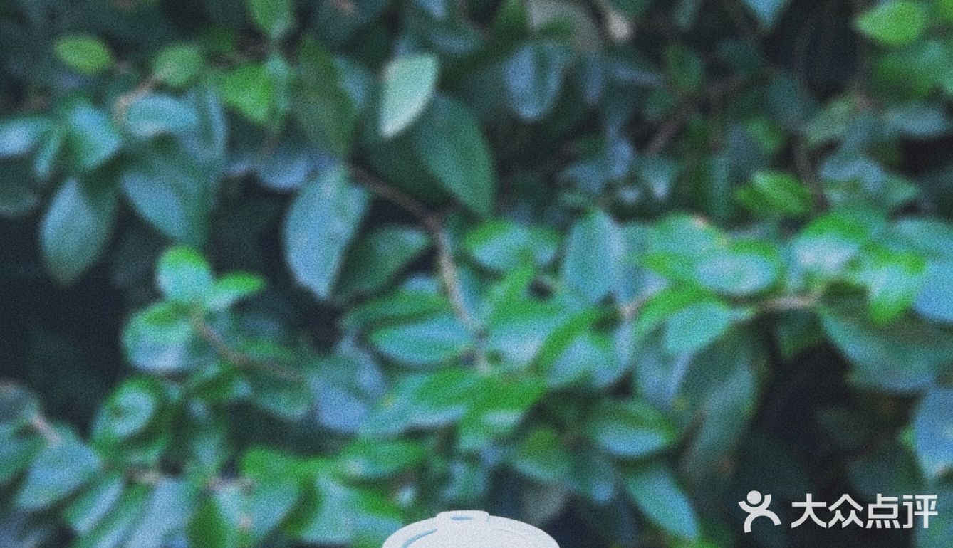 魔都打卡｜梧桐院落里的咖啡店%Arabica