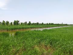 -南大港湿地风景区