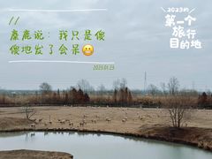 -溱湖国家湿地公园