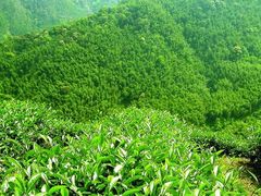 -明仕水会