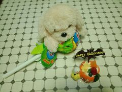 -好利来(飞跃路店)