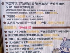 -more than meow吴止猫主题餐厅(承德 中船汇店)