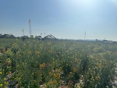 -白鹭湾湿地公园