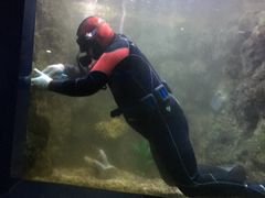 -厦门海底世界