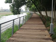 -月湖风景区