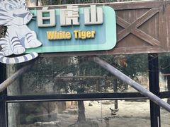-灵玲国际马戏城