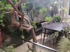 -大神太神·铁板烧(七宝领展广场店)