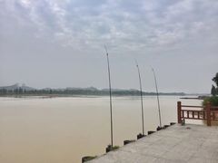 -鹤之洲湿地公园