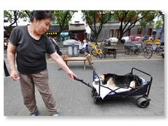 -南锣鼓巷