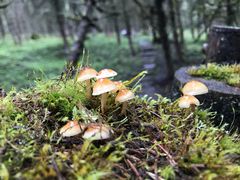 -硗碛藏寨·神木垒景区