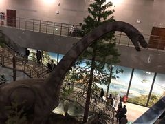 -湖南省地质博物馆