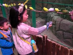 -杭州开元森泊度假乐园