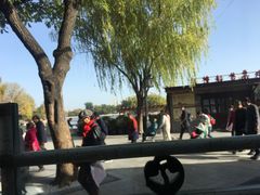 -同和居(什刹海店)