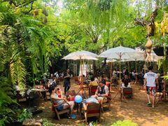 -Fern Forest Cafe