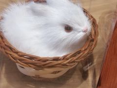 -手工艺活态馆