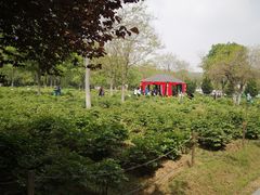 -合肥三国新城遗址公园