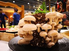 -丙申臺火锅