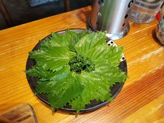 紫苏叶-陇璟烧肉酒场(友谊阳光城店)