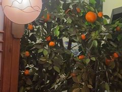 -徽镇小厨·经典徽菜(十里河店)