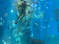 -波塞冬海底世界