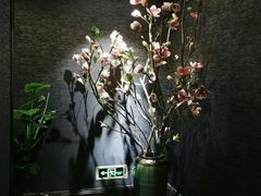 -瑶池足道养生SPA