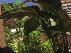 -芸鲜季·云南野生菌餐厅· 云南风物味研社(闵行店)