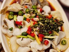 藤椒蒸桂花鱼-巡味顺德菜(龙华壹方城店)