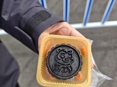 -横道河子东北虎林园