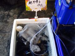 iphone_upload_pic-蚝专家(北滘店)