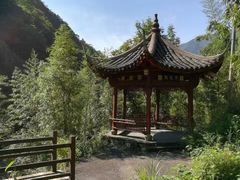 -东天目山风景区