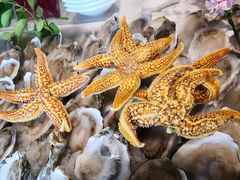 -蓝珊甄选海鲜自助·火锅大排档(近阿那亚店)