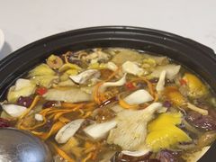 -菌之家·专业纯野生菌火锅·特色炒菌