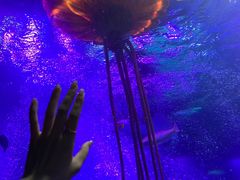 -沈阳海洋探索中心