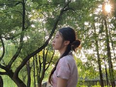 -乌镇东栅景区