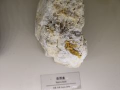 -正佳自然科学博物馆