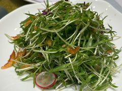 -一品粤珍轩(吴中路店)