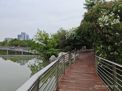 -上海吴淞炮台湾国家湿地公园
