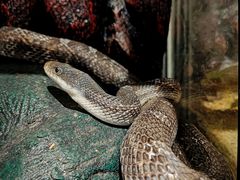 -长沙友阿奥特莱斯