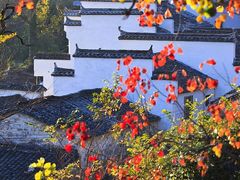 -塔川景区