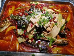 -百岁鱼(望月路店)