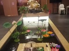 -宏宴·新京菜(望京店)