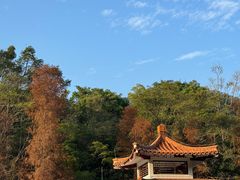 -深圳仙湖植物园
