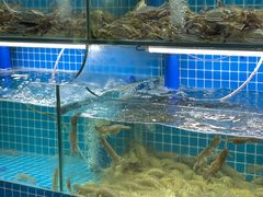 -老东镇啤酒屋海鲜加工·蒸汽海鲜·海鲜烧烤(台东店)