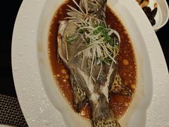 清蒸桂鱼-富力威斯汀酒店-中国元素中餐厅(武昌临江店)